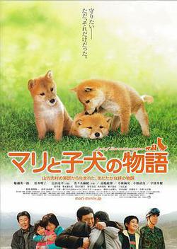 愛犬的奇蹟