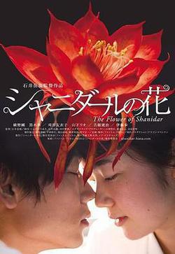 沙尼達爾之花