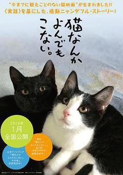 爲什麼貓都叫不來