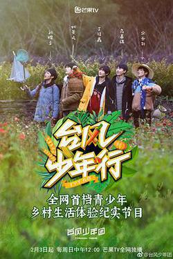 颱風少年行