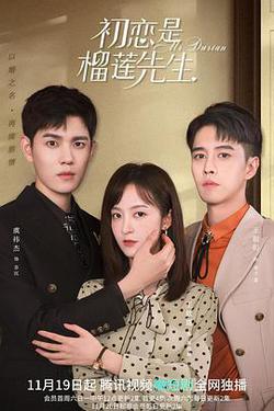 初戀是榴槤先生