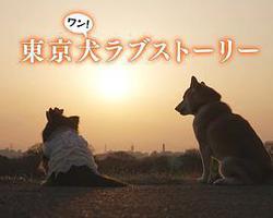 東京犬愛情故事