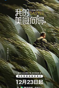 我的美食嚮導