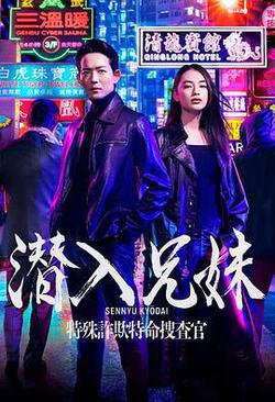 潛入兄妹 特殊詐欺特命搜查官