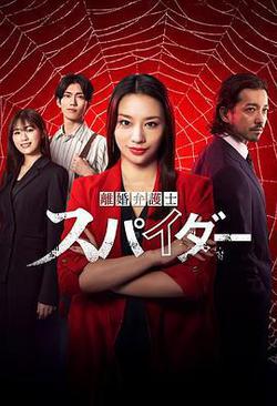 離婚律師蜘蛛 撫恤金爭奪篇