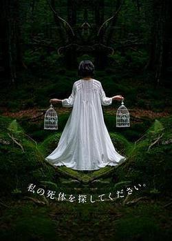 請尋找我的屍體