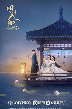 明月入卿懷