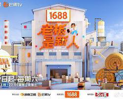 老闆是新人