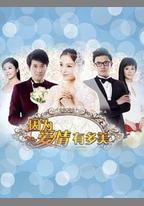 因爲愛情有多美