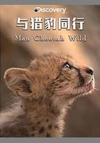 與獵豹同行