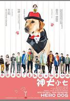 神犬小七 第一季