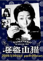 怪盜山貓