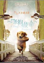 一條狗的使命