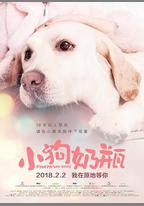 小狗奶瓶
