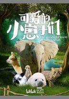 可愛的小崽子們