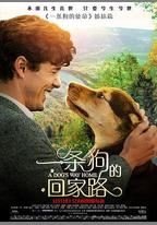 一條狗的回家路