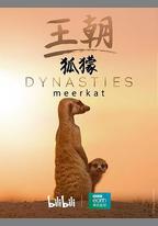 王朝：狐獴特輯