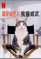 最愛喵星人：我貓威武