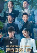 天賜的聲音 第二季