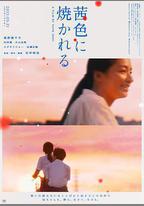 茜色如燒