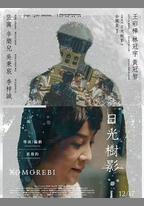 日光樹影
