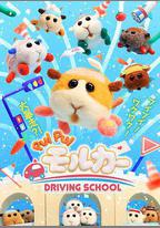天竺鼠車車 學車篇