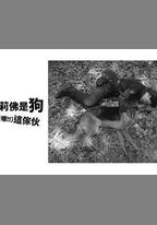 奧莉佛是狗，（天哪！！）這傢伙 續篇
