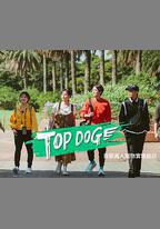 TOP DOG