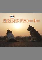 東京犬愛情故事