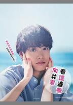 往這邊看 向井君