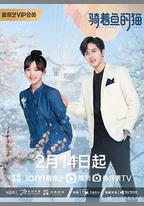 騎著魚的貓