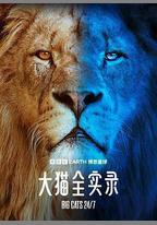 大貓全實錄
