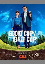 好警察/壞警察