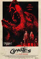 郊狼