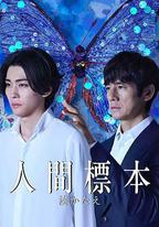 人類標本