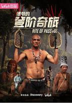 德爺的登階奇旅