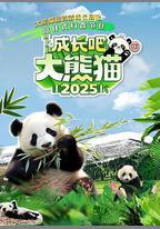 成長吧！大熊貓2025
