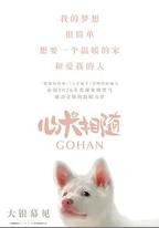 心犬相隨